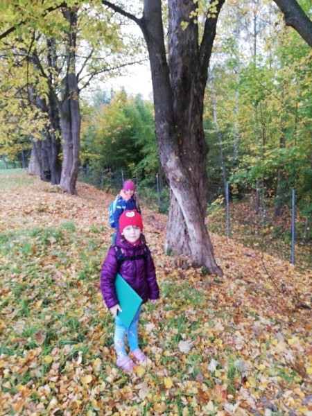 Lanový park