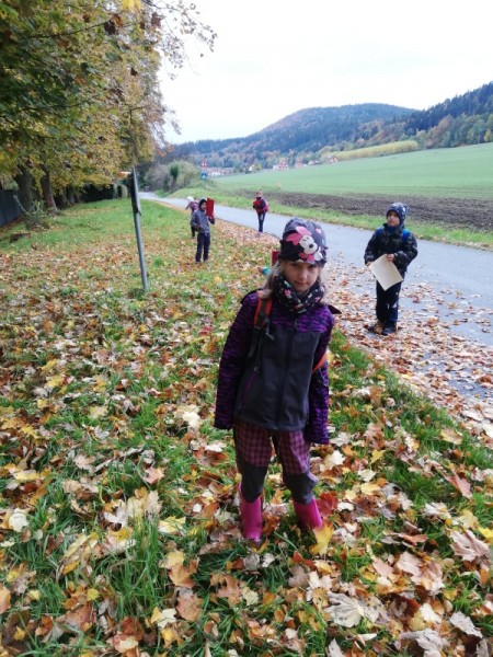 Lanový park